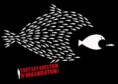 /album/galerie-photos/pardon-poisson-jpg/